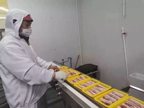 因为光明，所以温暖 光明食品集团以实际行动服务社会，守护大众健康